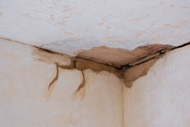 Best Professional water damage repair  in Oreland, PA