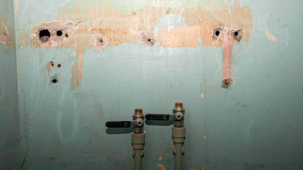 Best Mold removal after water damage  in Oreland, PA